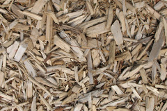 biomass boilers Woodfalls