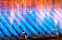 Woodfalls gas fired boilers